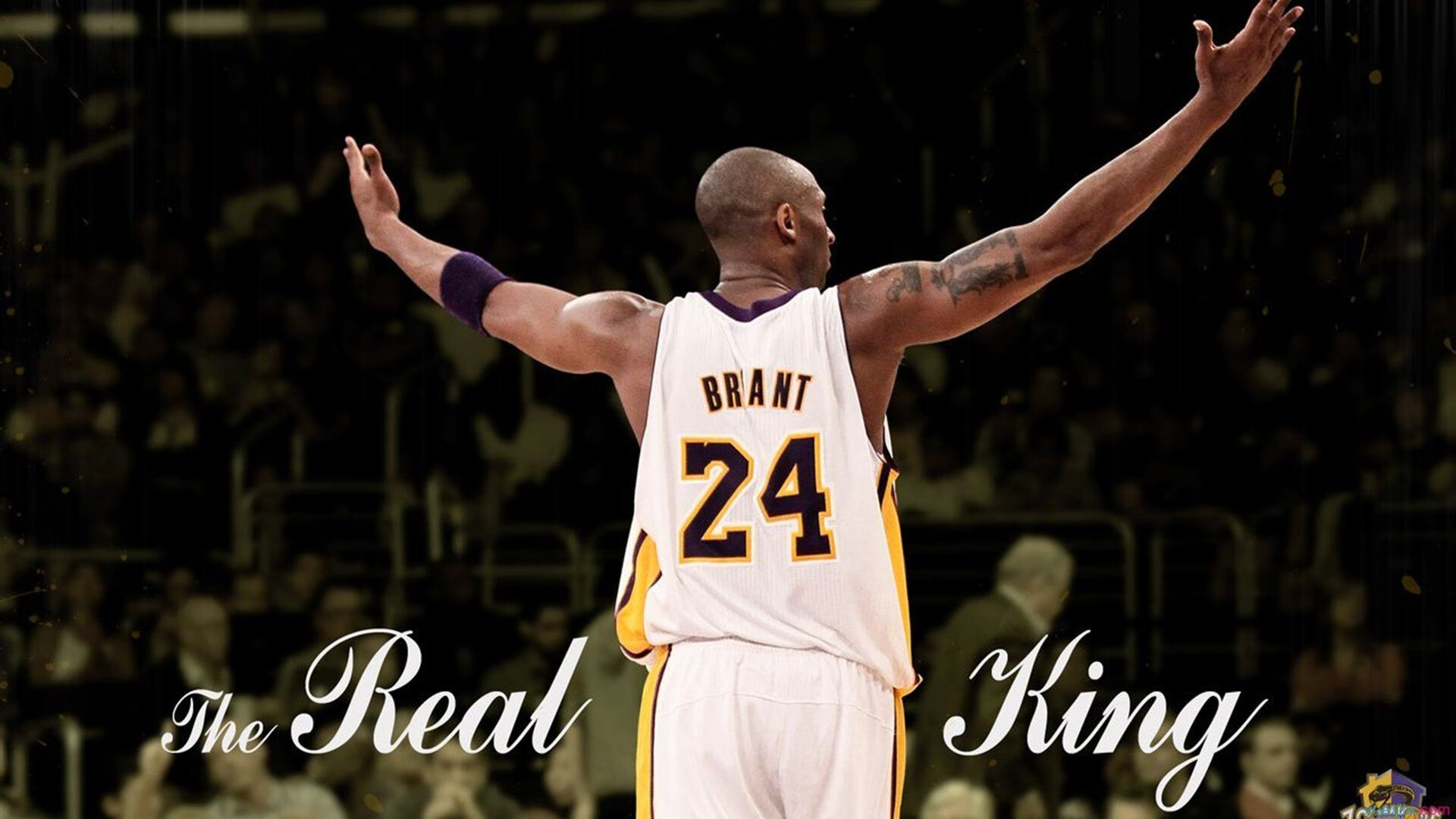 逆境中奋起，谁能创造奇迹？，逆境创造奇迹的议论文